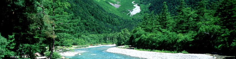 �����S�ݓX���T�C�g